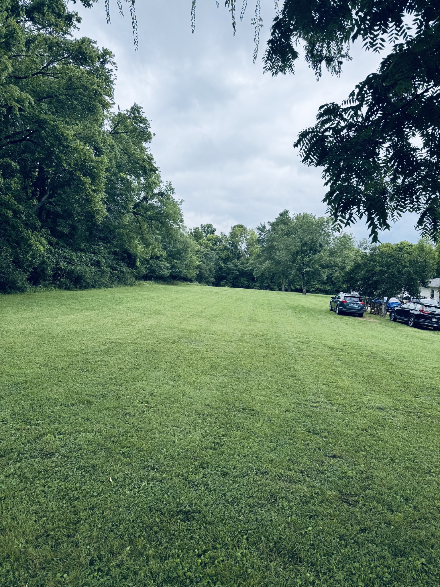 107 Tyne Bay Dr, Hendersonville, TN 37075