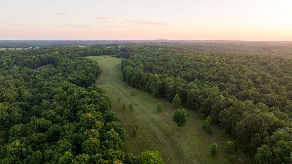 0 Shoals Branch Rd, Primm Springs, TN 38476