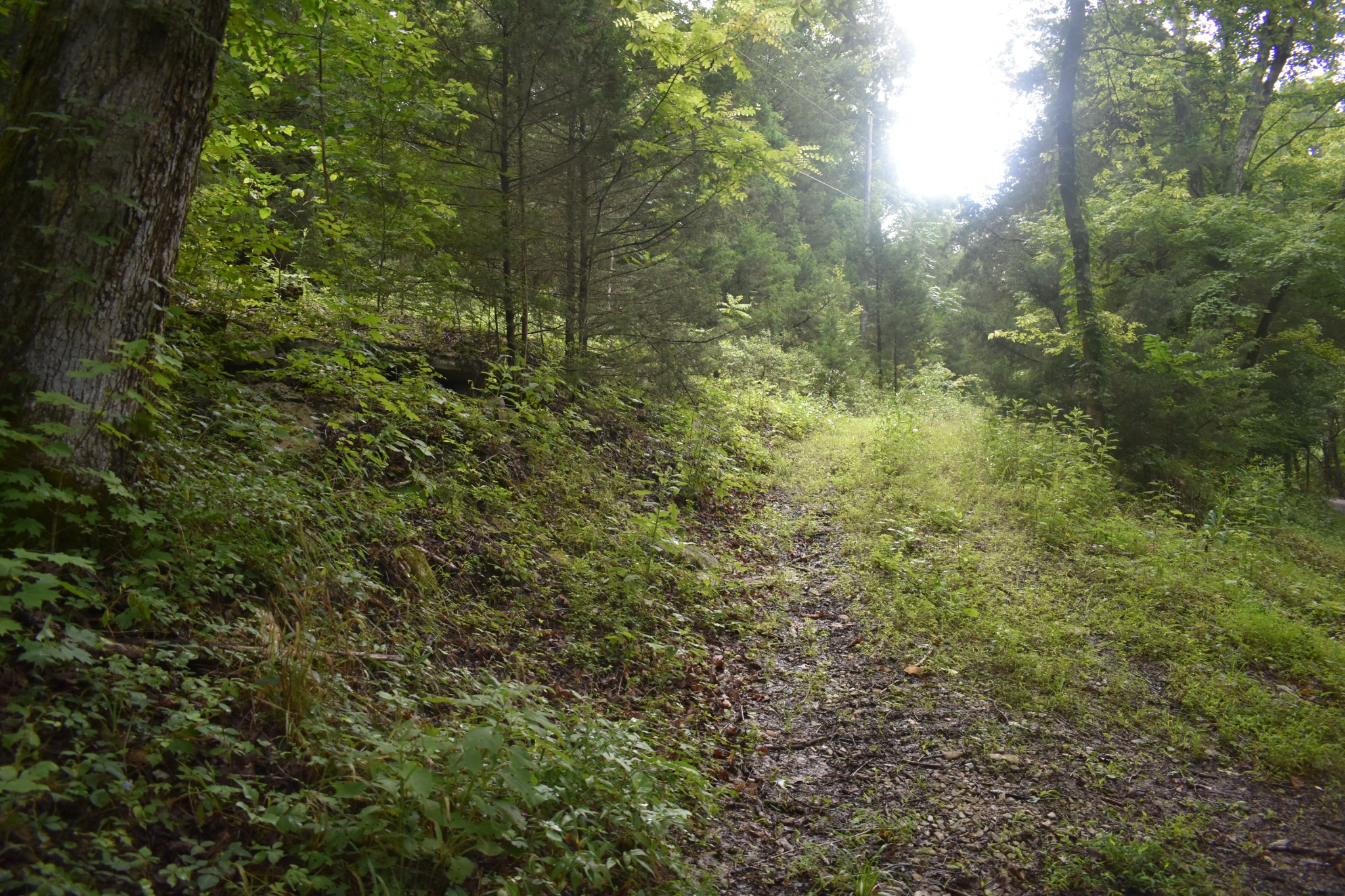 0 Ben Gentry Ln Lot 1-5, Elmwood, TN 38560