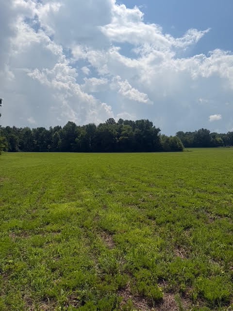 0 Friendship Rd, Cross Plains, TN 37049