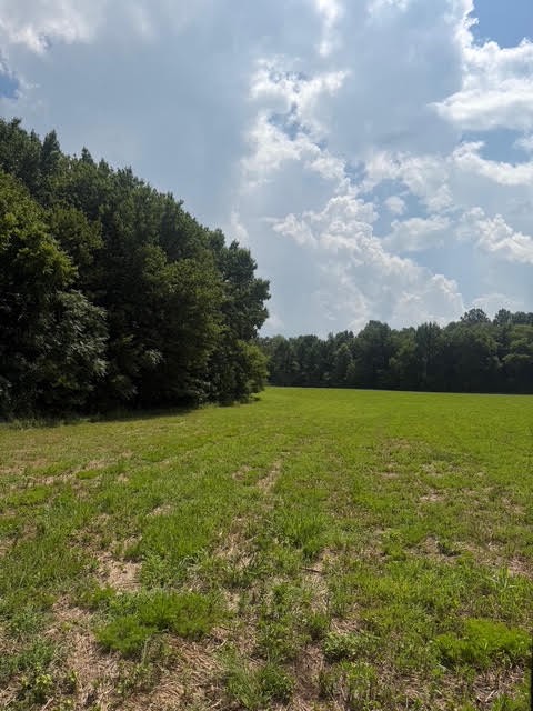 0 Friendship Rd, Cross Plains, TN 37049