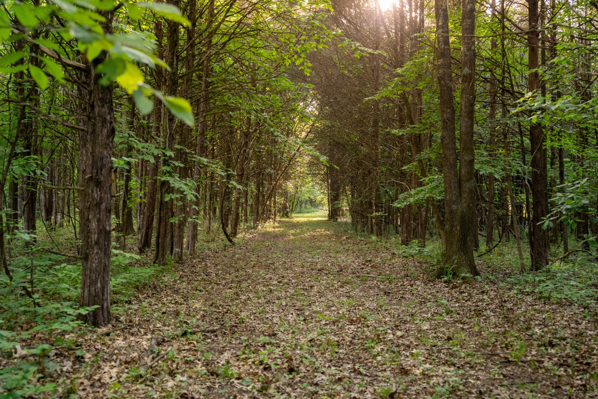 0 Fellowship Rd, Mount Juliet, TN 37122