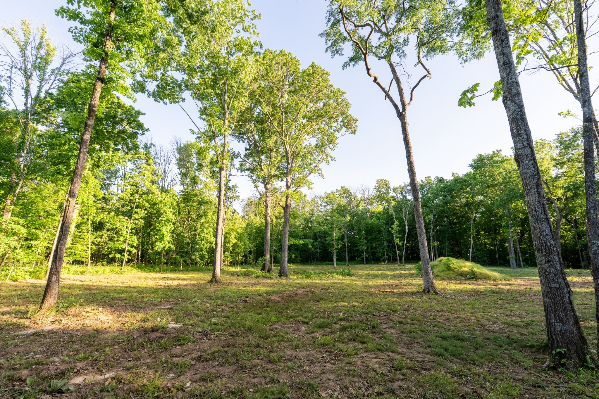 0 Fellowship Rd, Mount Juliet, TN 37122