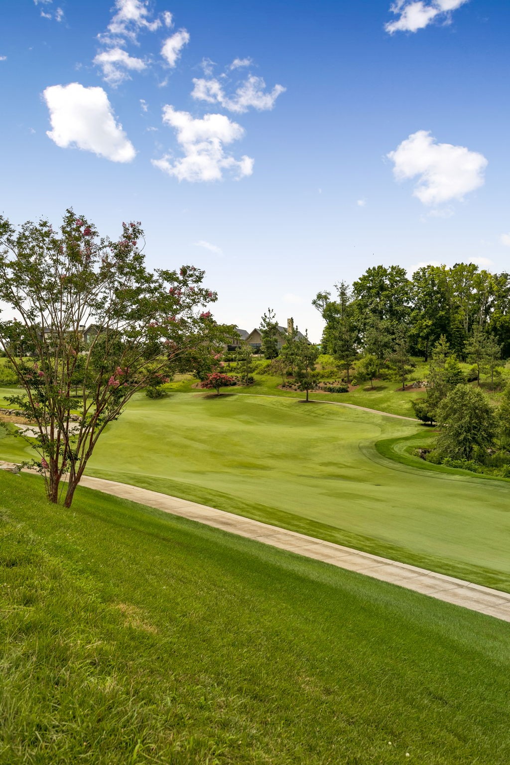 7588 Trident Ridge Rd Lot 908, College Grove, TN 37046