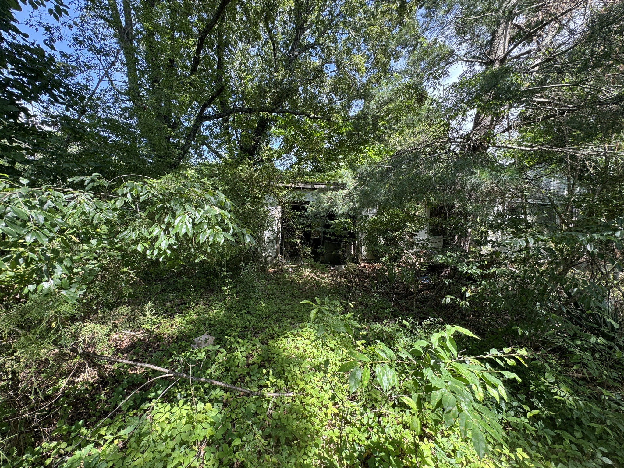 9108 Hwy 20, Summertown, TN 38483