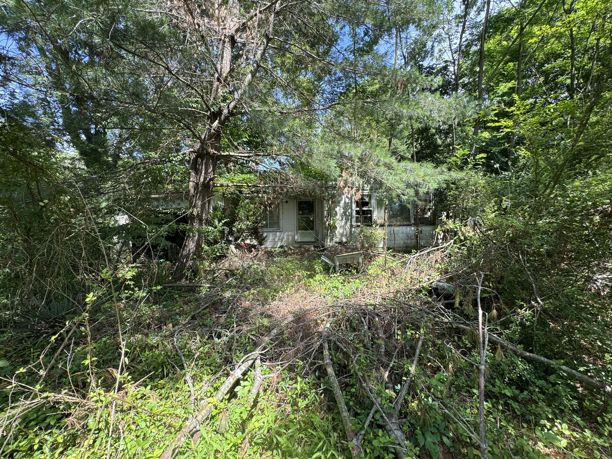 9108 Hwy 20, Summertown, TN 38483