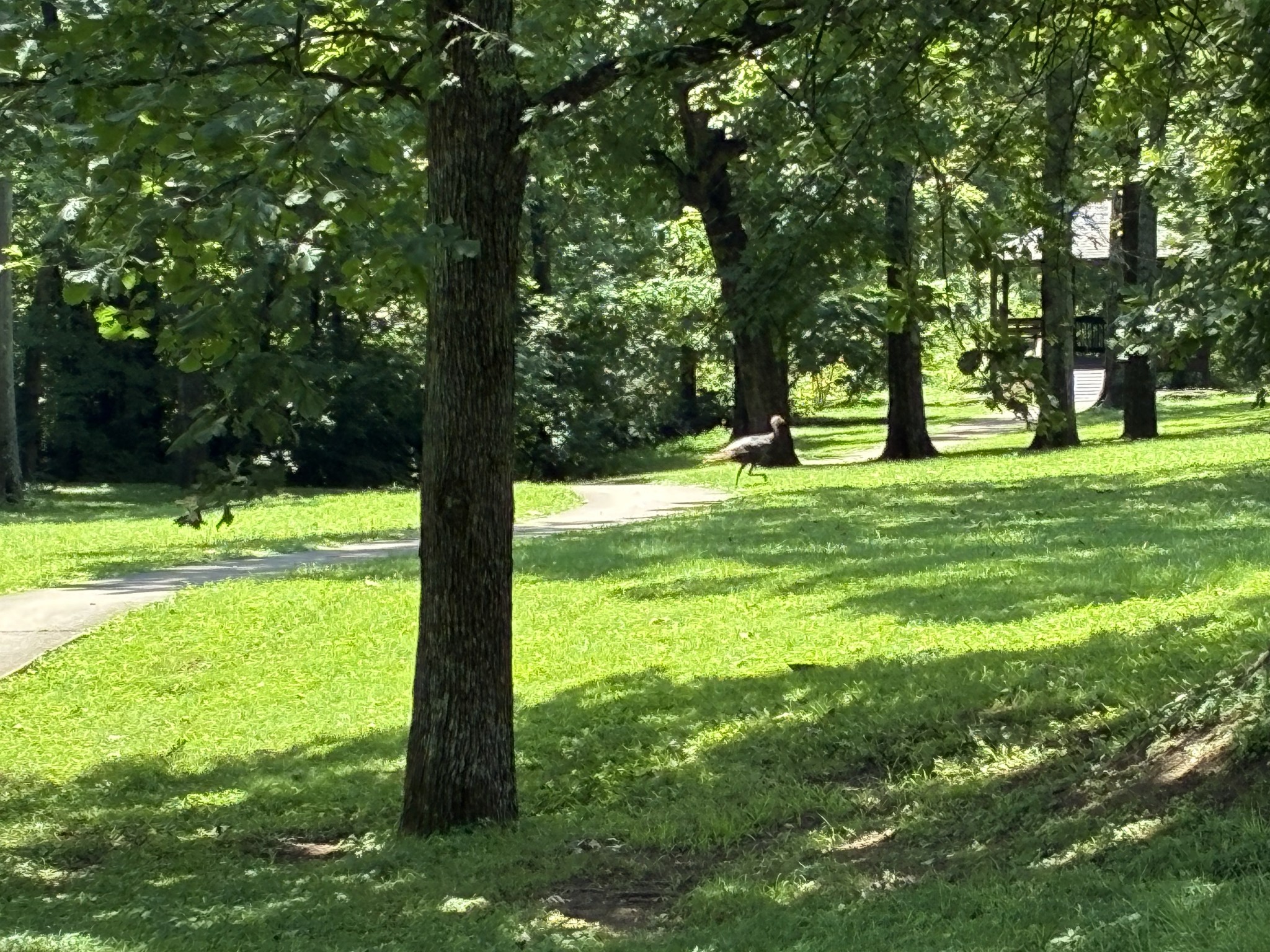 108 Turning Leaf Way, Hendersonville, TN 37075