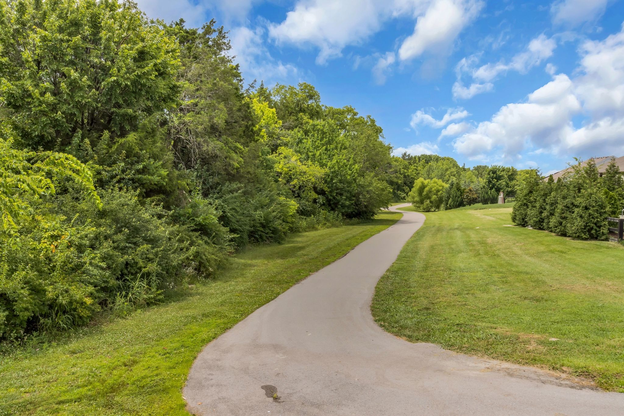 163 Telfair Ln, Nolensville, TN 37135
