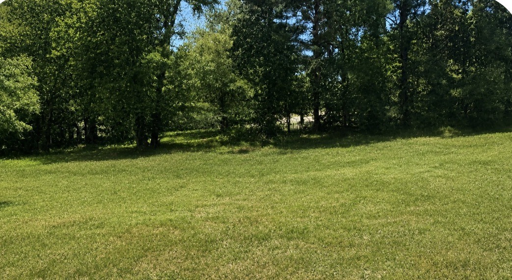 704 Deer Ridge Ln, Lebanon, TN 37087