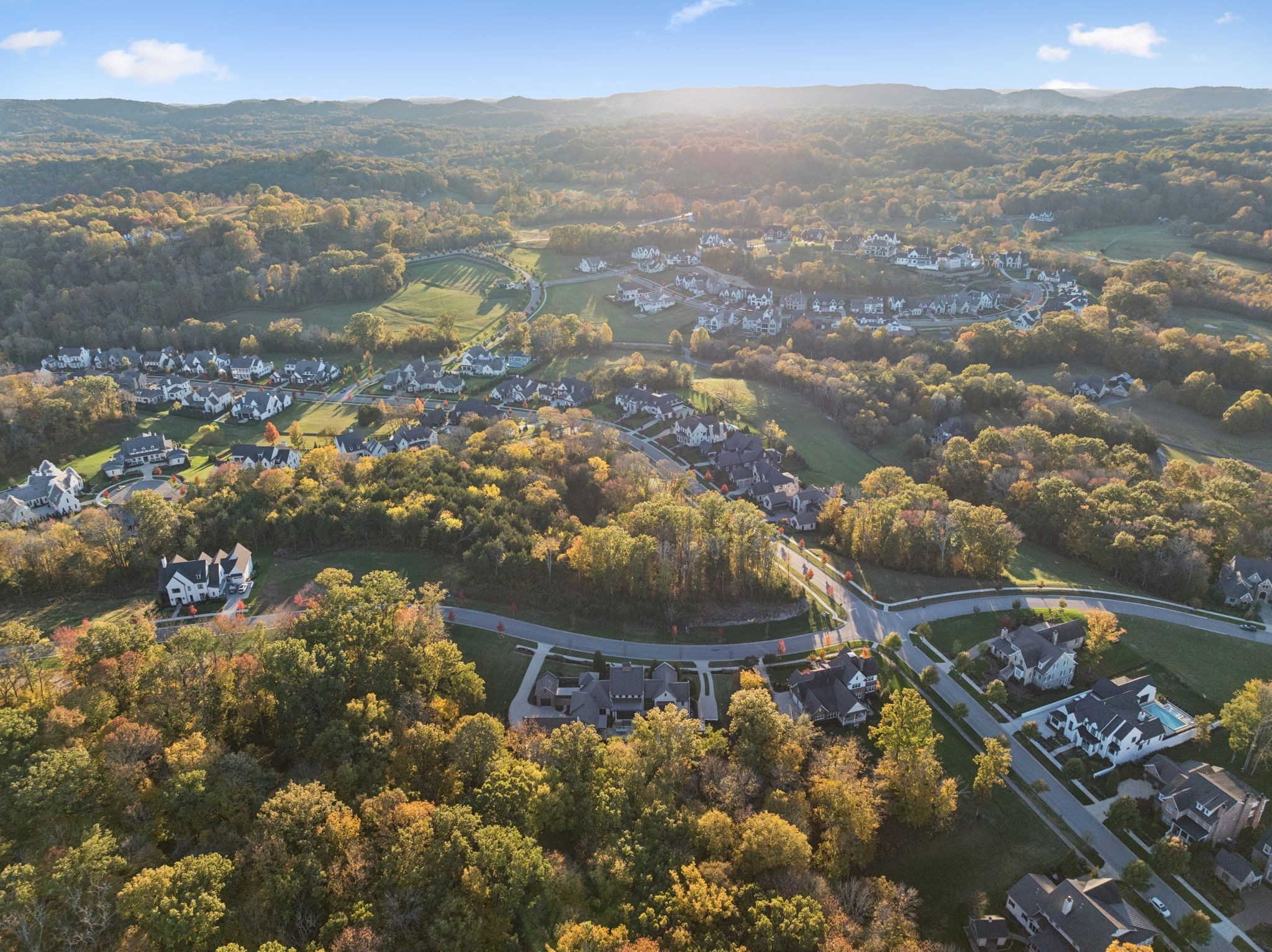 8100 Mountaintop Dr, College Grove, TN 37046