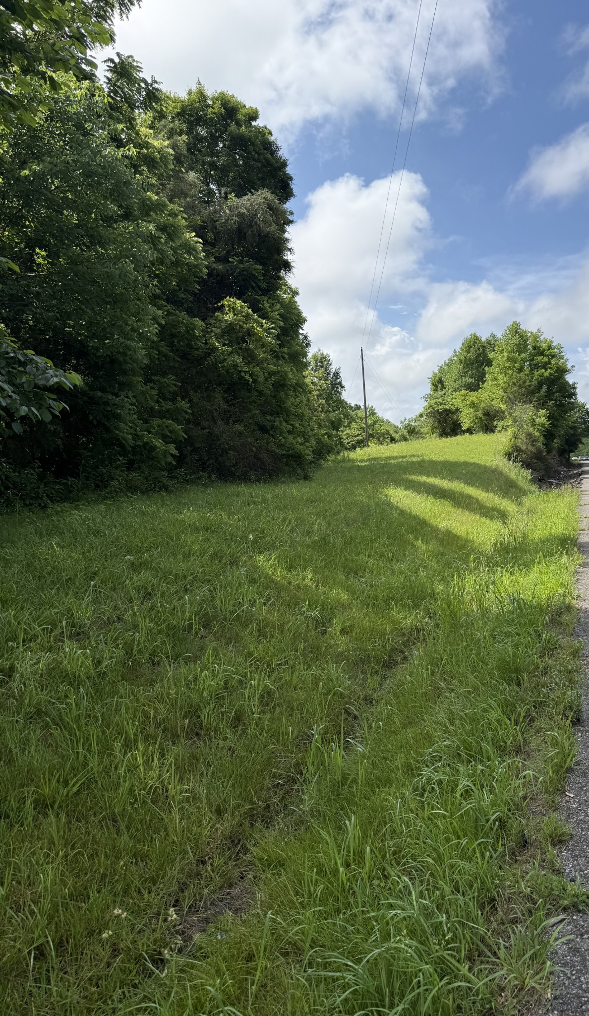 0 Highway 31 E, Westmoreland, TN 37186