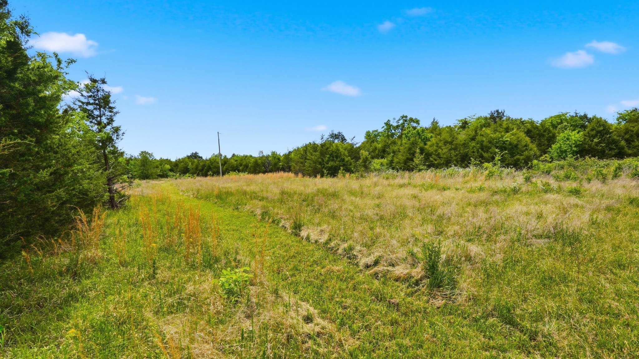 3630 W Trimble Rd, Milton, TN 37118