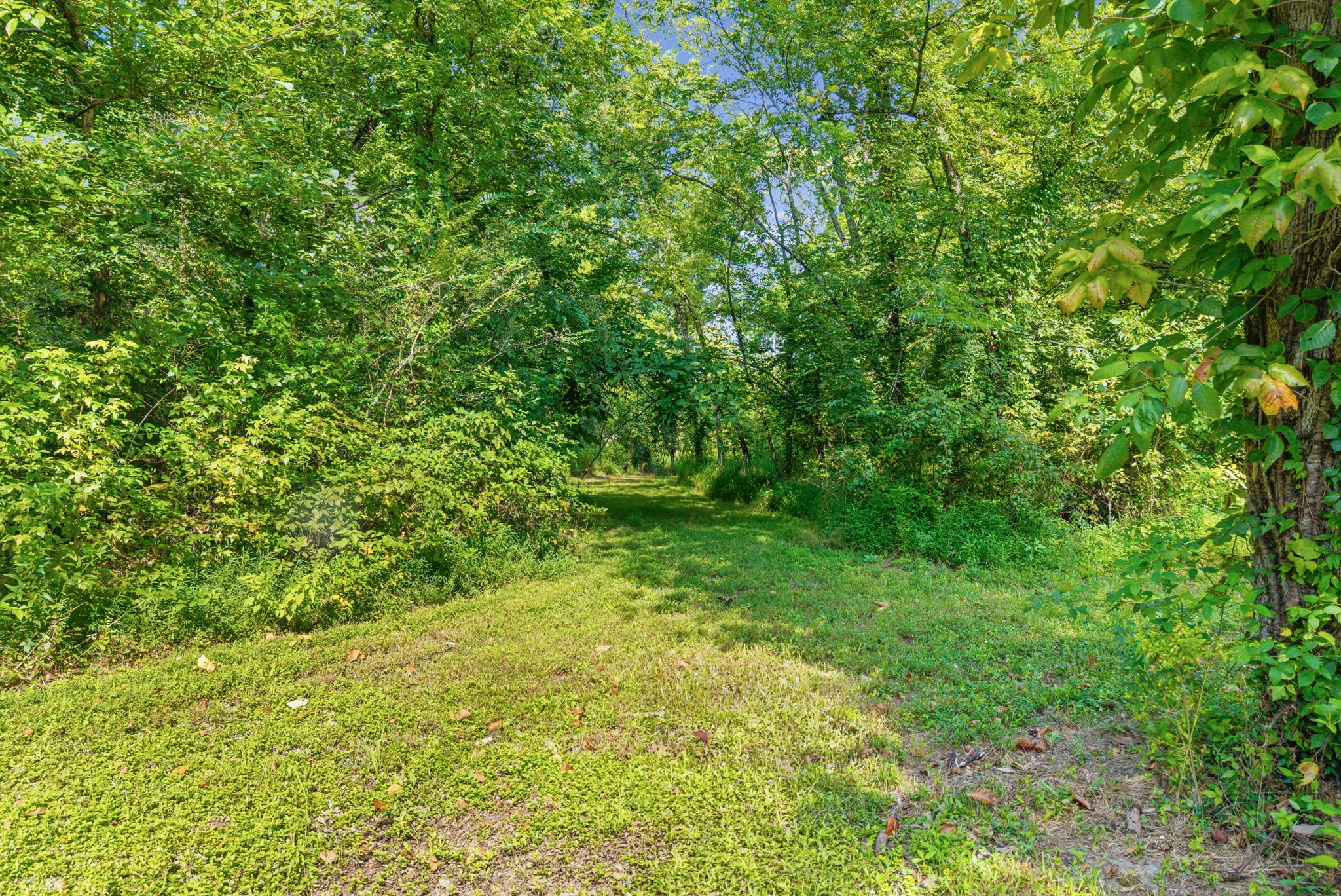 0 Matlock Dr Lot 5, Chapmansboro, TN 37035