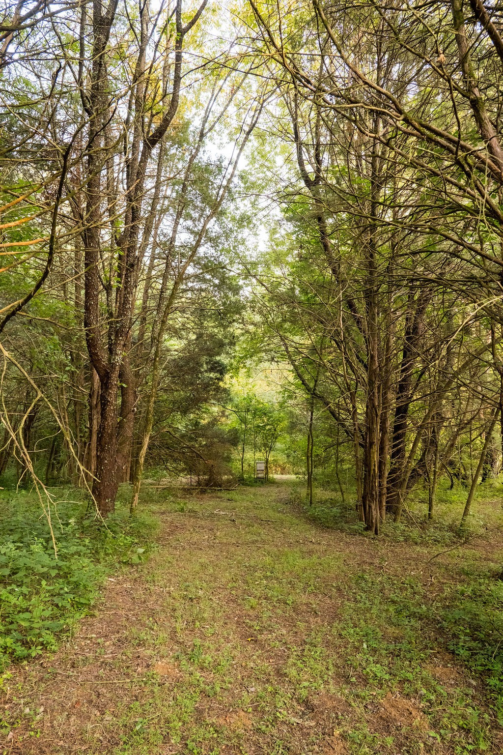 128 Leath Ln, Bethpage, TN 37022