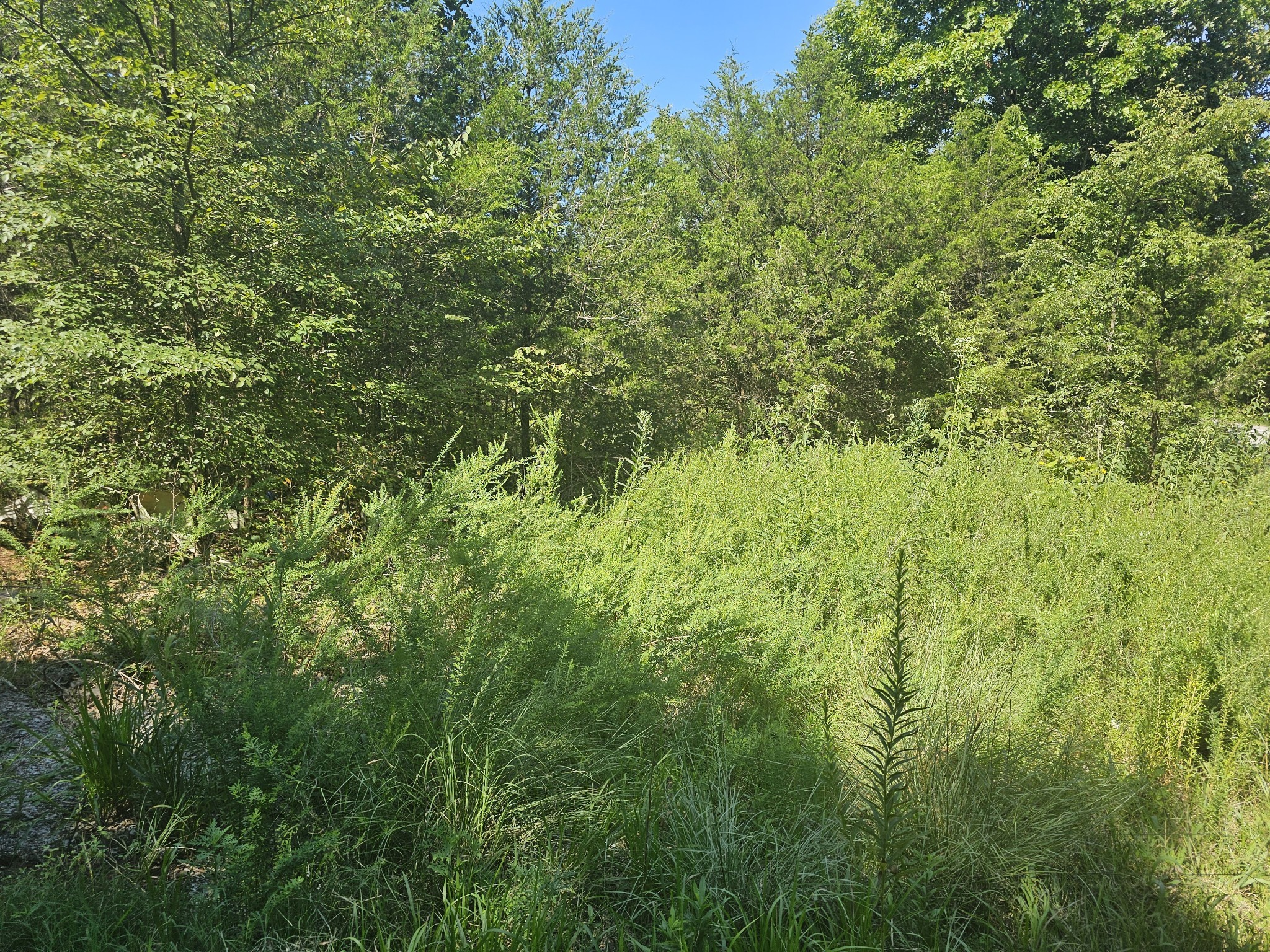 0 Underwood Rd, Mount Juliet, TN 37122