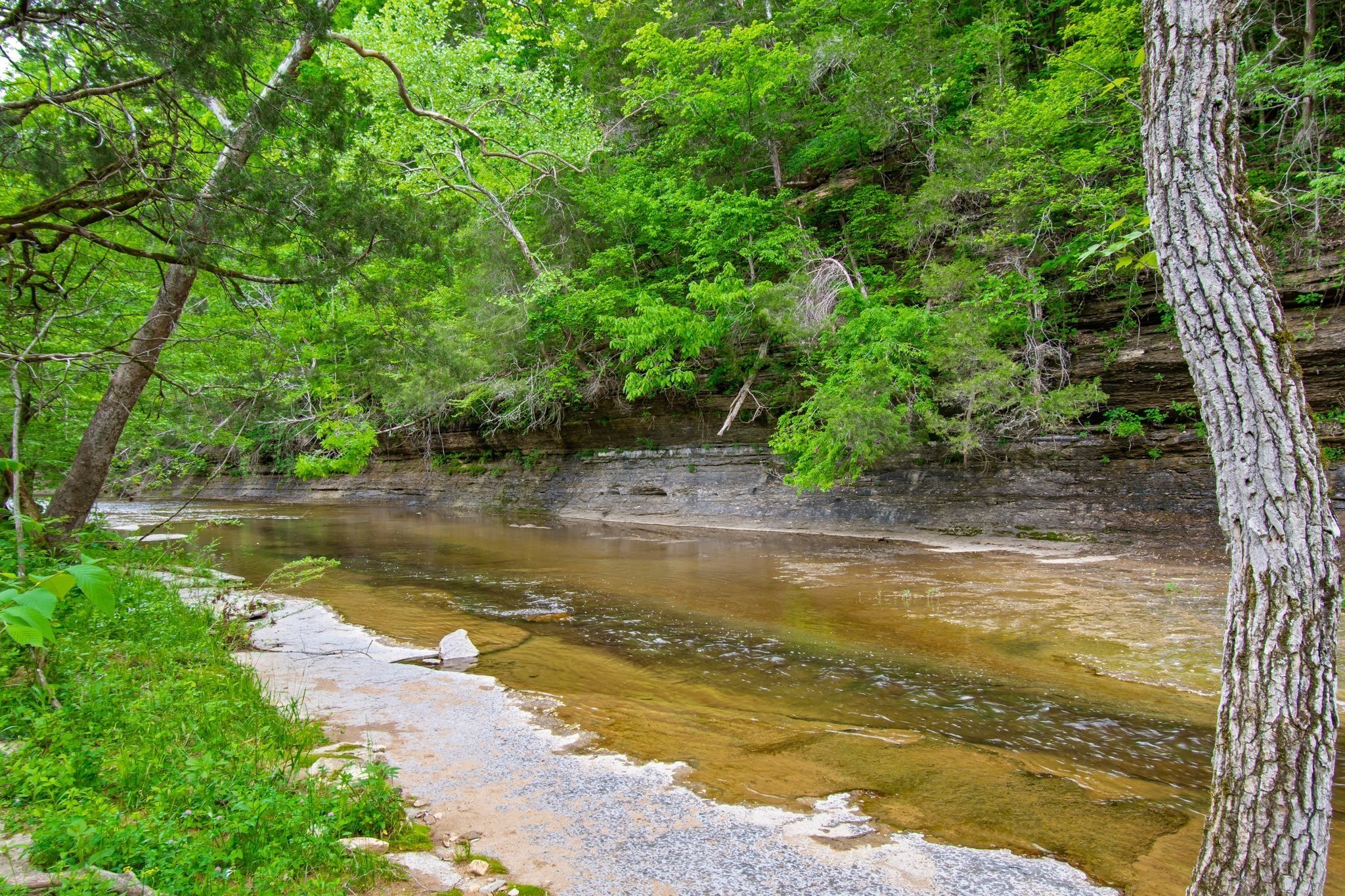 0 Crow Cut Rd, Fairview, TN 37062