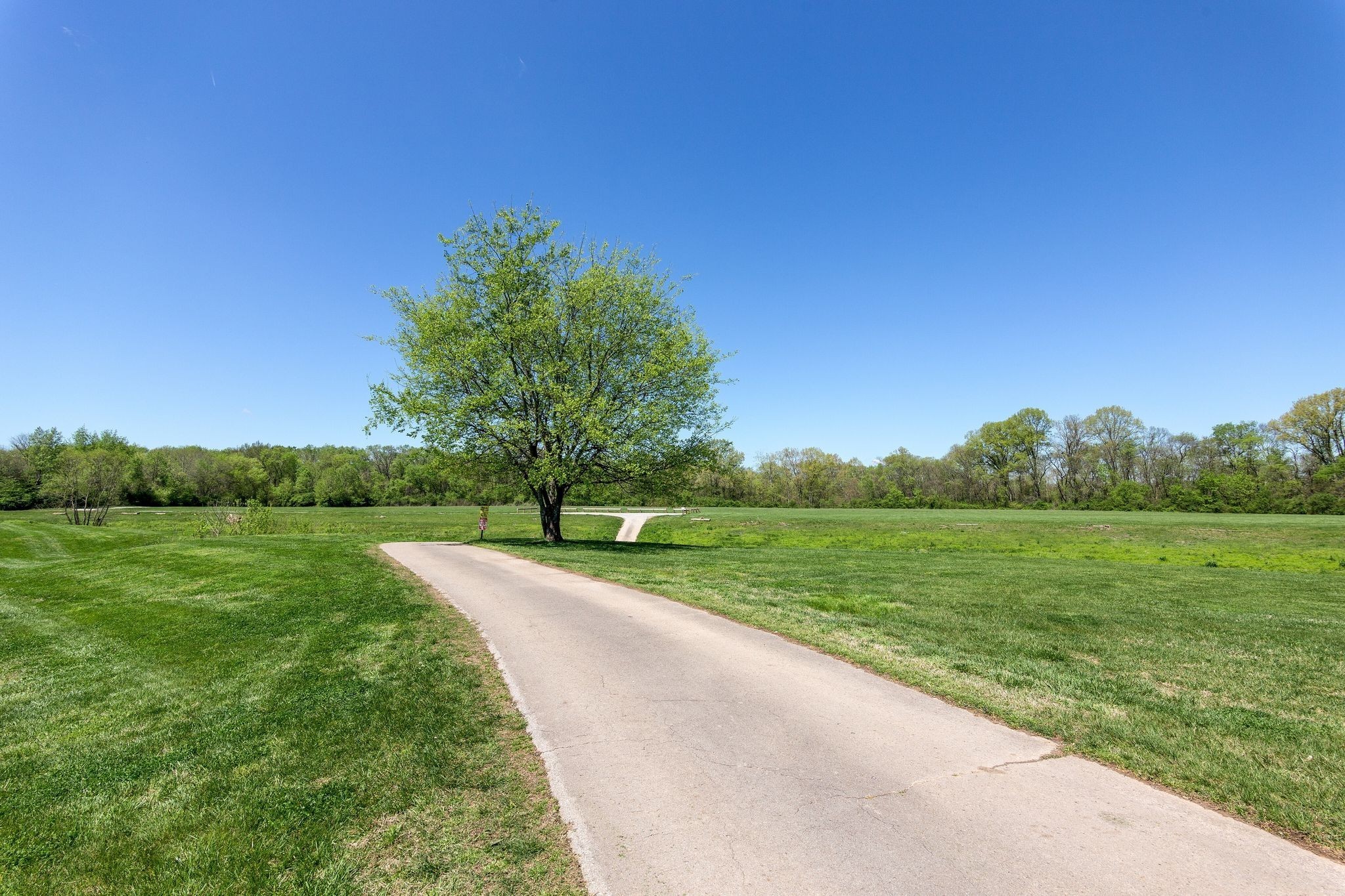 166 Cottonwood Dr, Franklin, TN 37069
