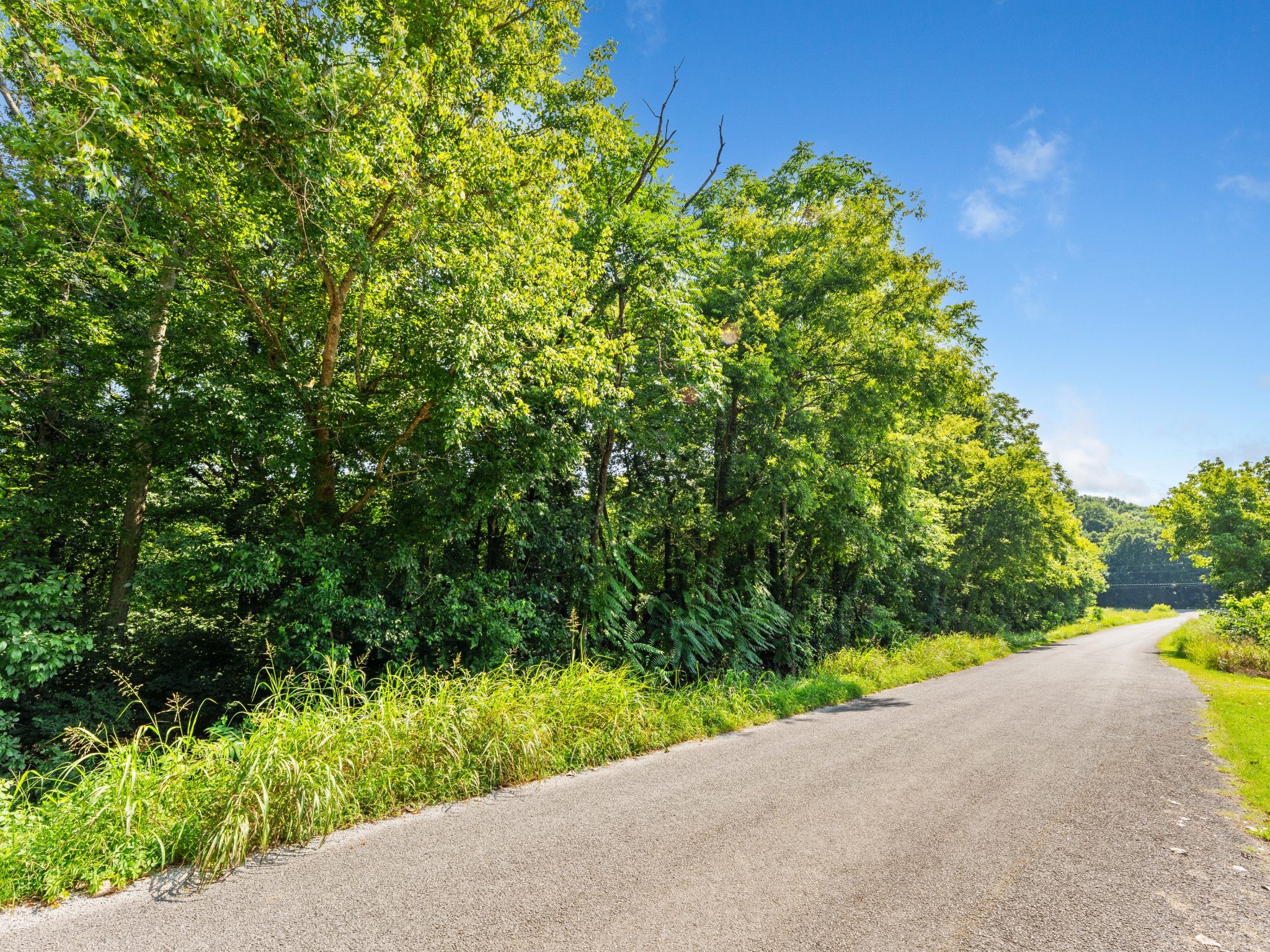 4 Reece Church Rd Lot 4, Columbia, TN 38401