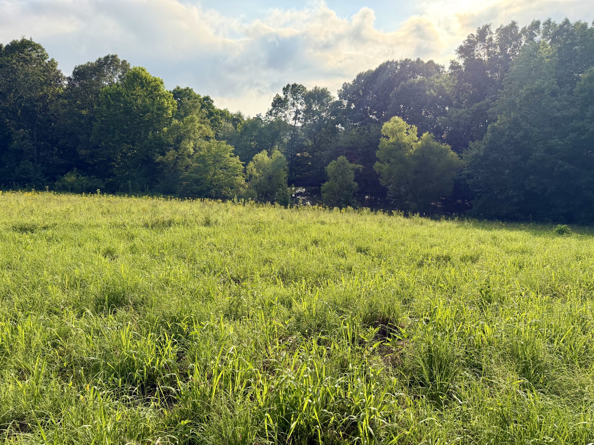 669 Houston Fielder Rd, Clarksville, TN 37043