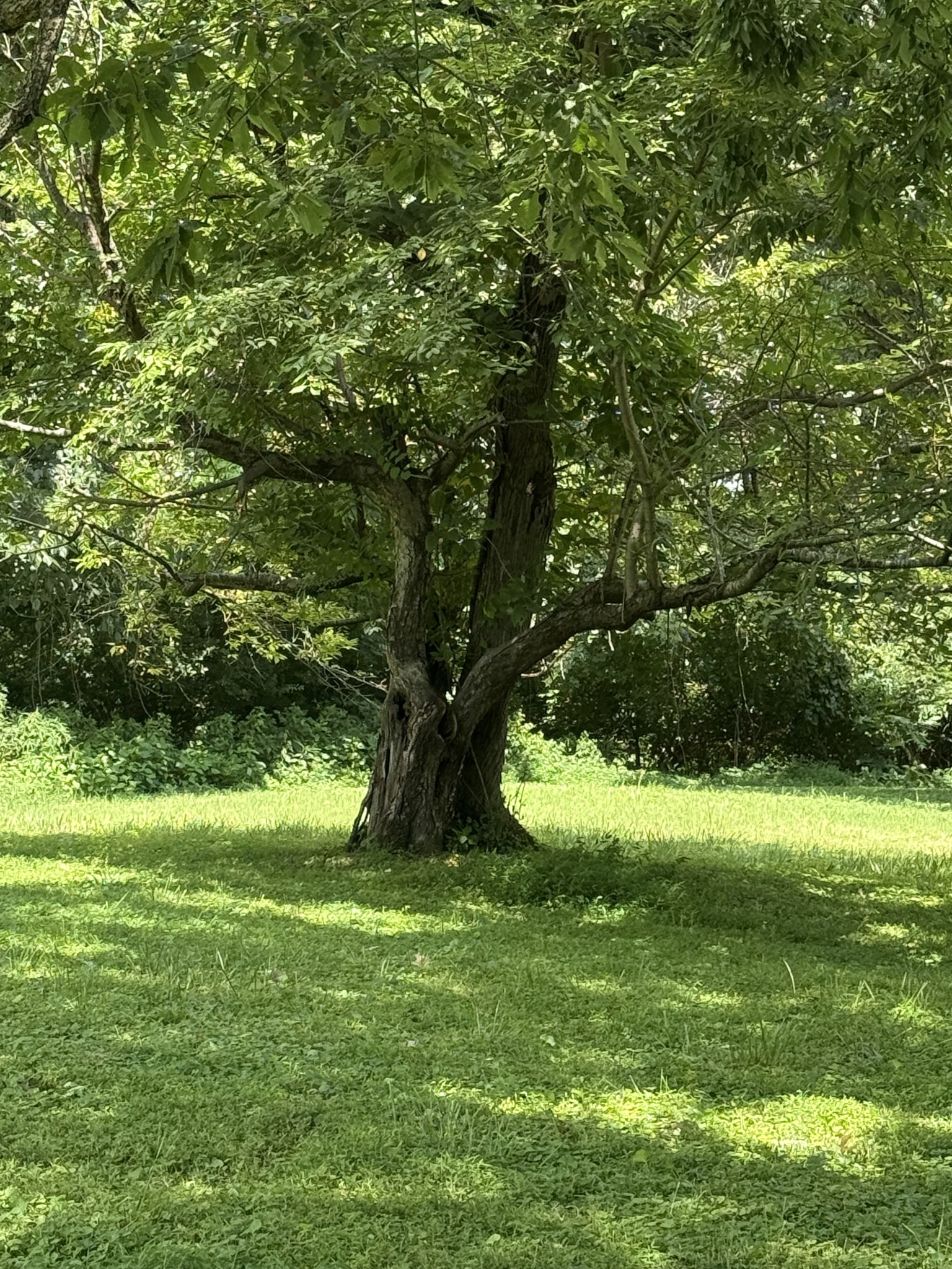 0 Windsor Dr Lot 1, Gallatin, TN 37066