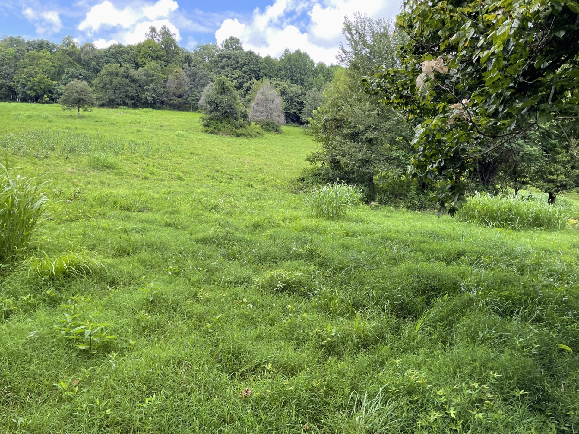 6461 Hwy 48 N Lot 2, Cumberland Furnace, TN 37051