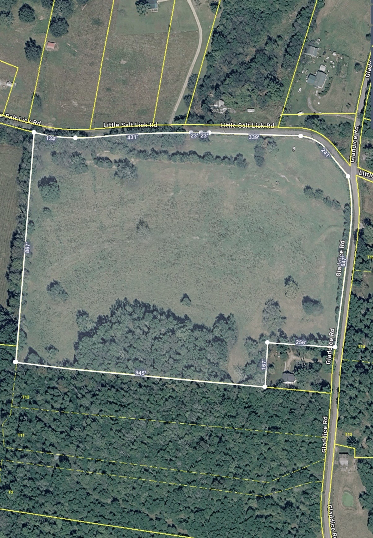 175 Little Salt Lick Rd, Carthage, TN 37030