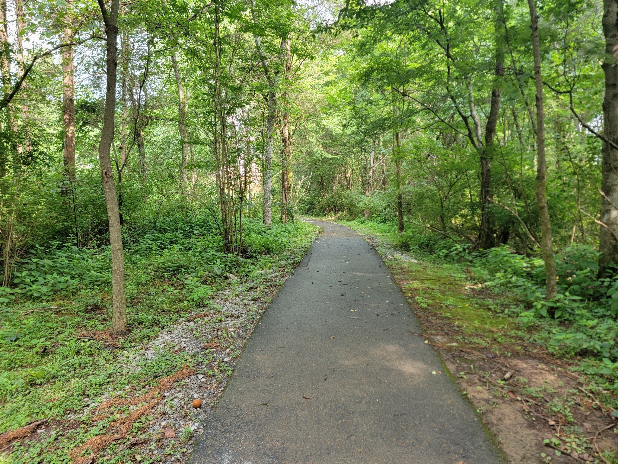 214 Cobblestone Lndg, Mount Juliet, TN 37122