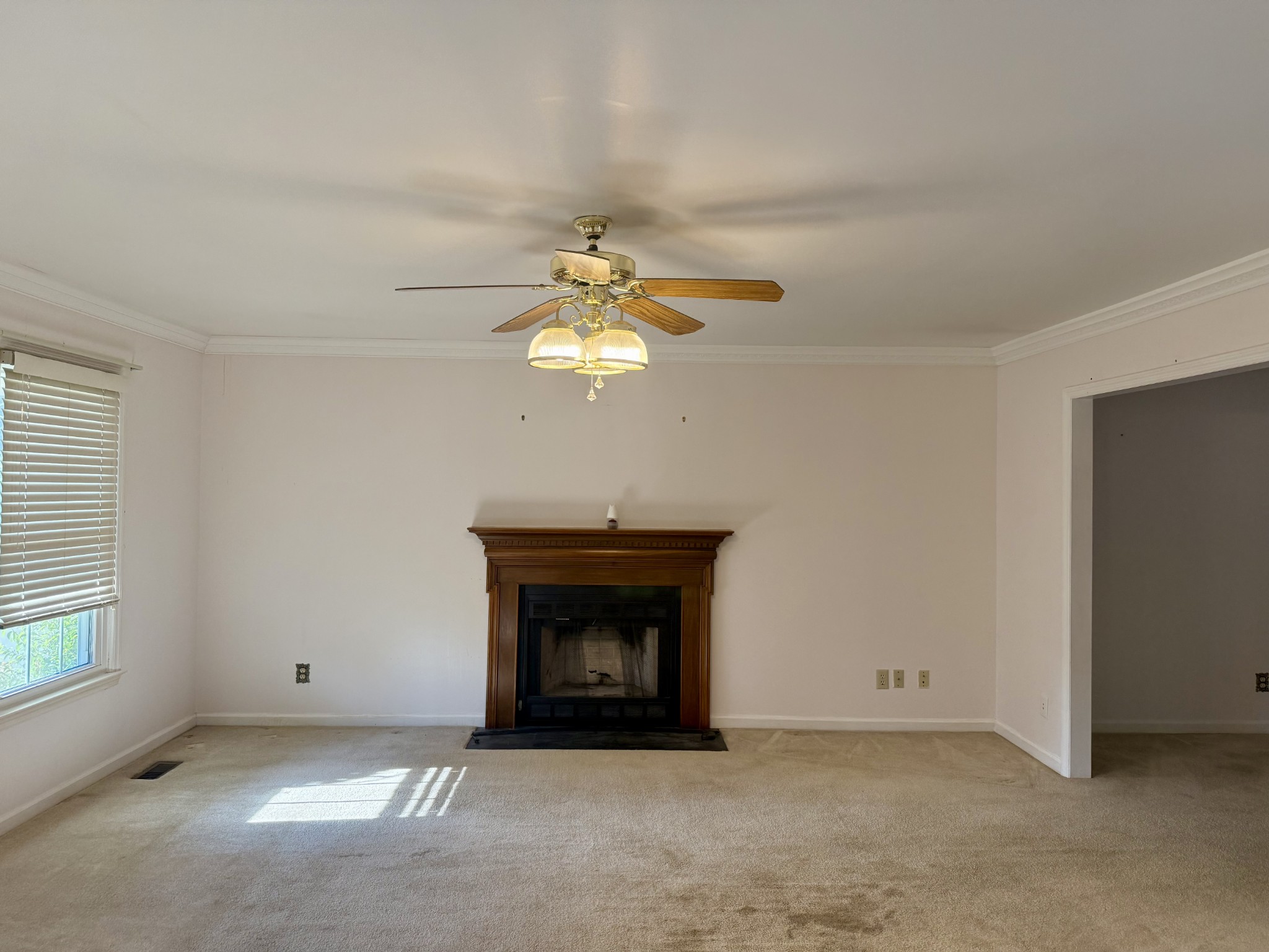 1025 Singing Springs Rd, Mount Juliet, TN 37122