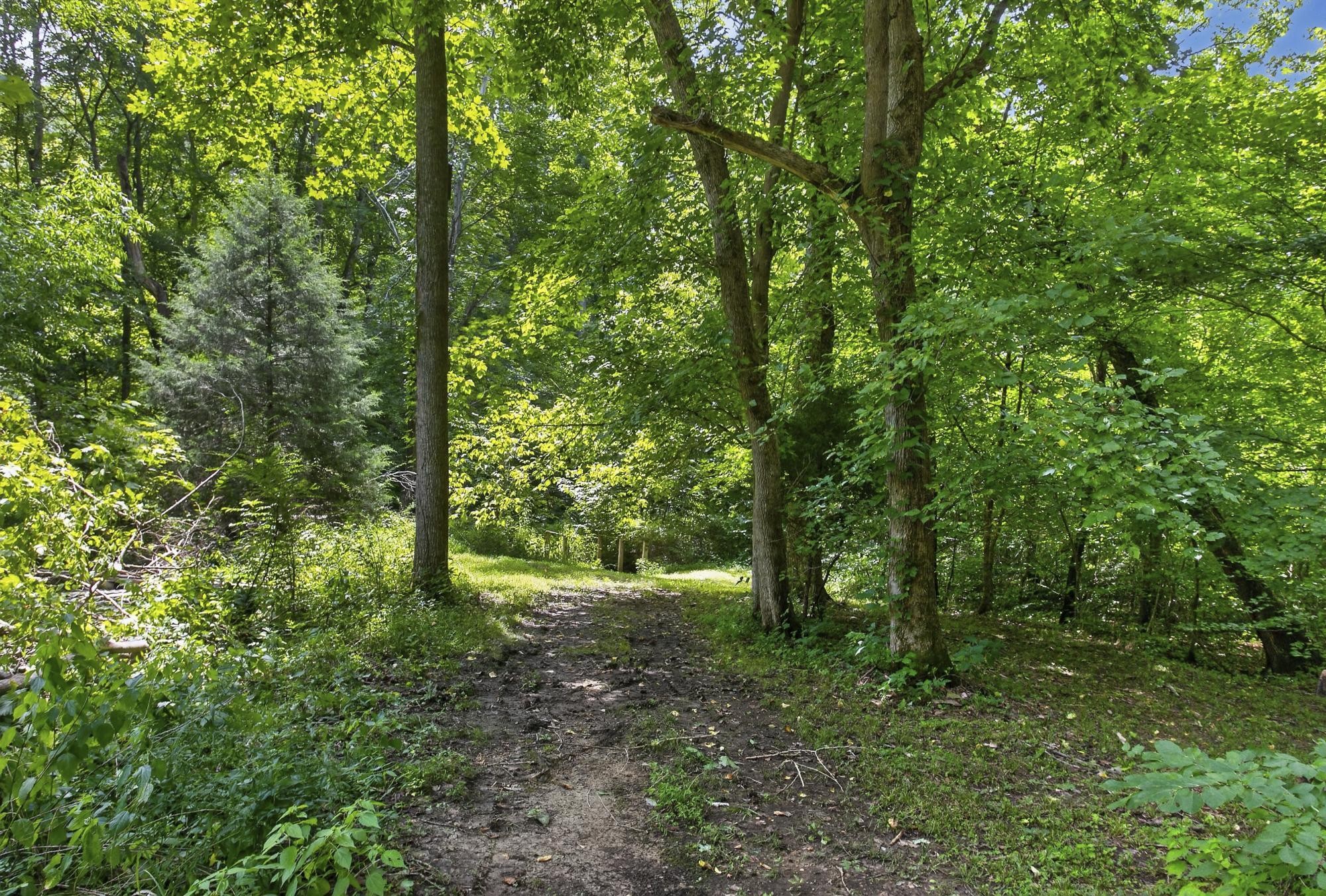 1851 Jordan Rd, Chapmansboro, TN 37035