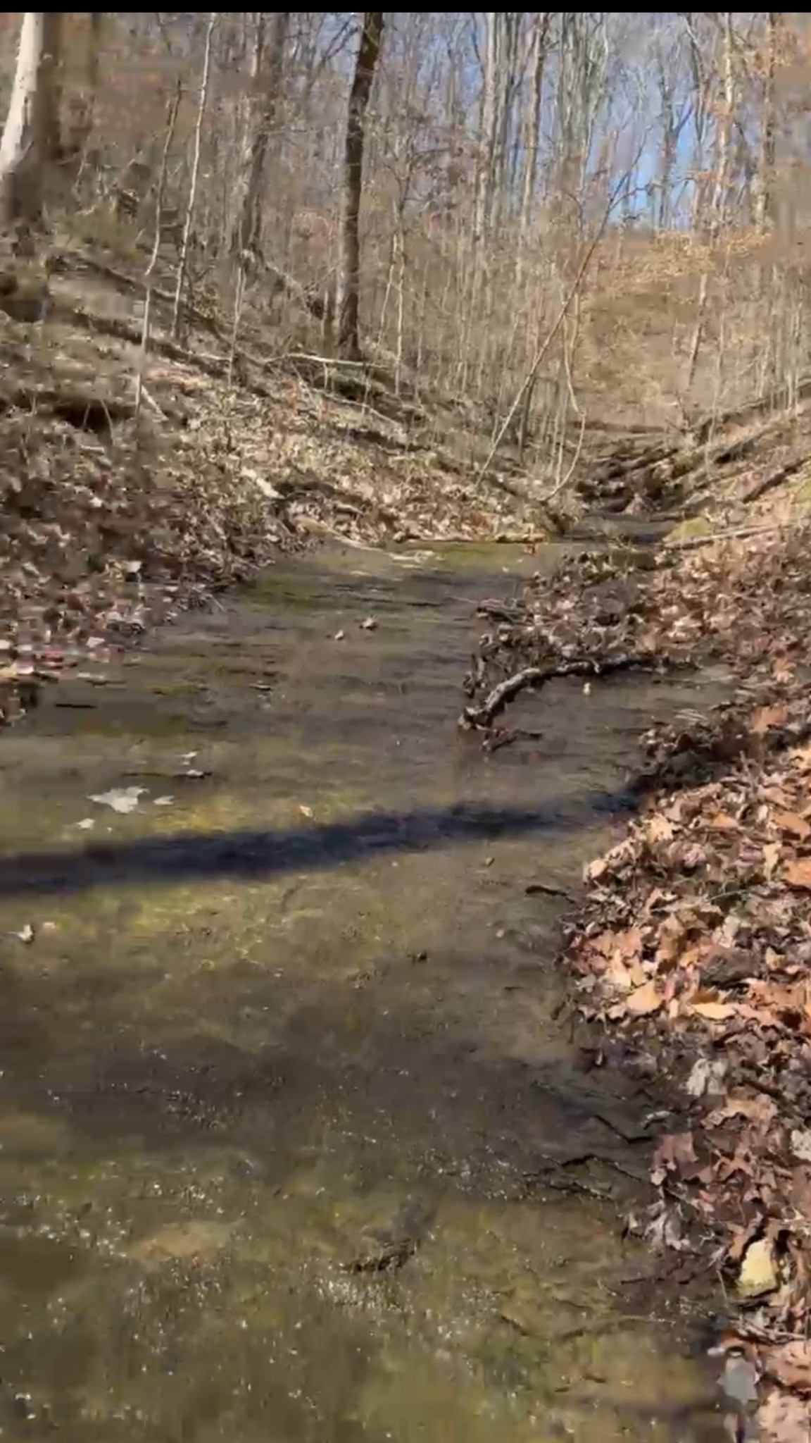 0 Simmons Ct Lot 15, Ashland City, TN 37015