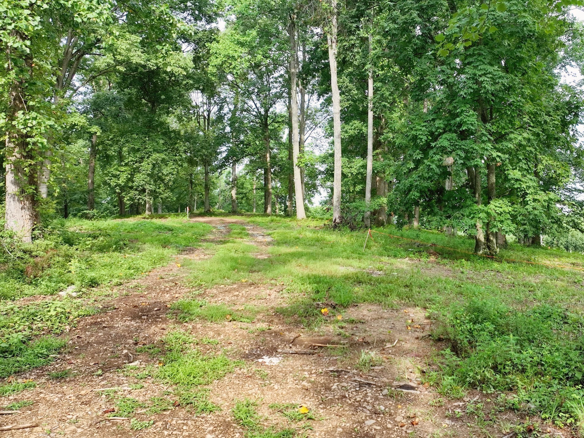 284 Lake Westmoreland Rd Lot 6, Westmoreland, TN 37186