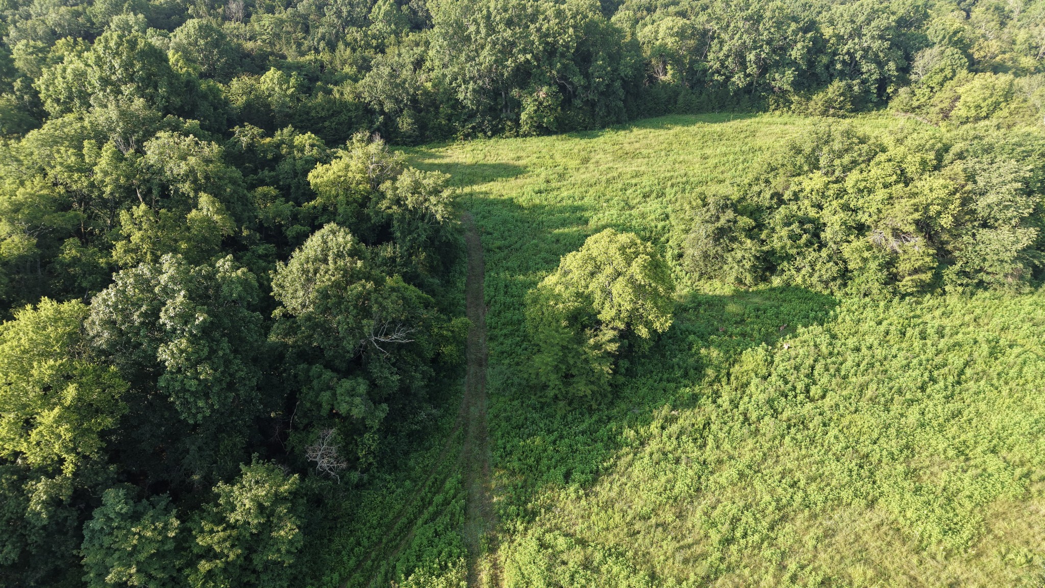 2360 Vesta Rd, Lebanon, TN 37090