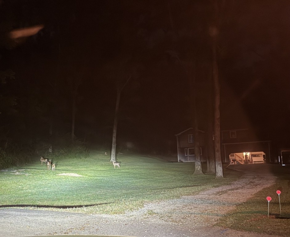 1961 Sunny Side Dr, Brentwood, TN 37027