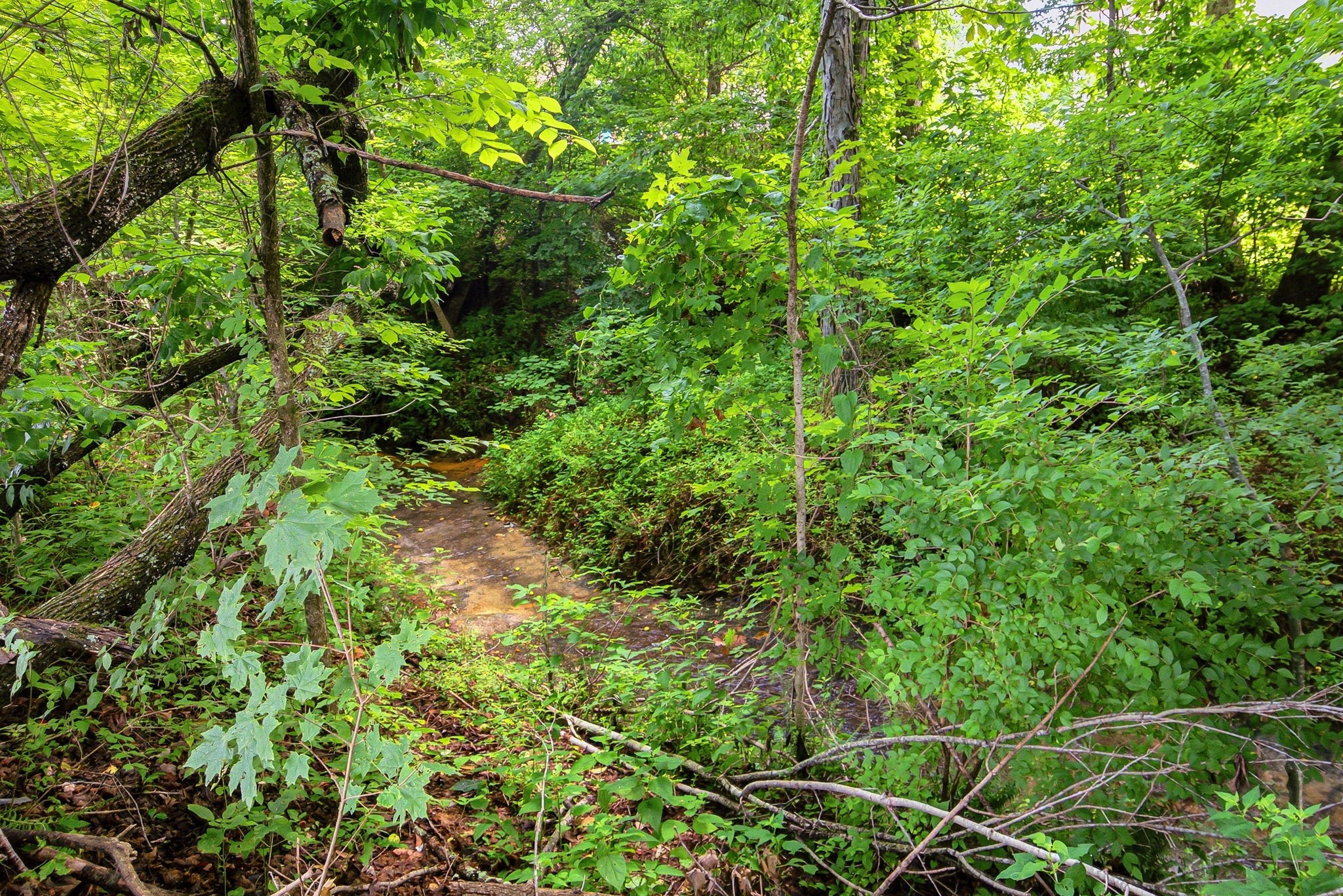 1193 Prestons Way, Goodlettsville, TN 37072