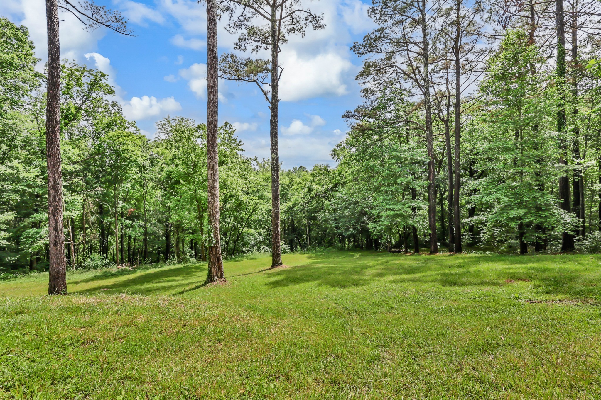 1386 Justice Rd, Ashland City, TN 37015