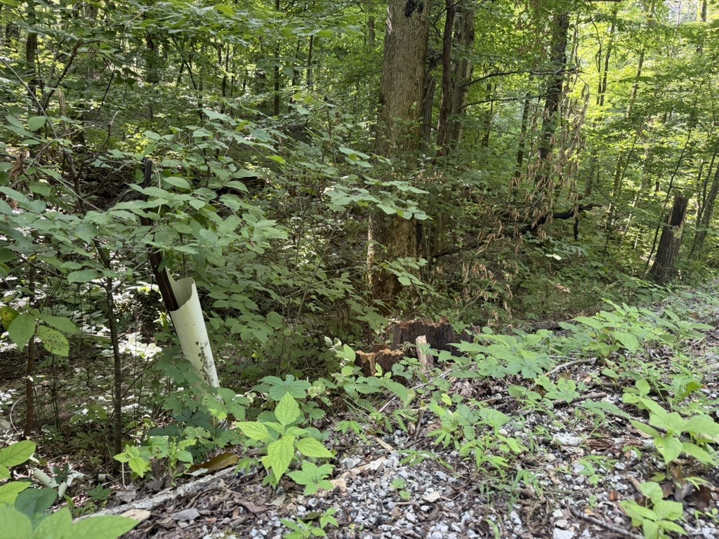 0 Roy Thompson, Mount Pleasant, TN 38474