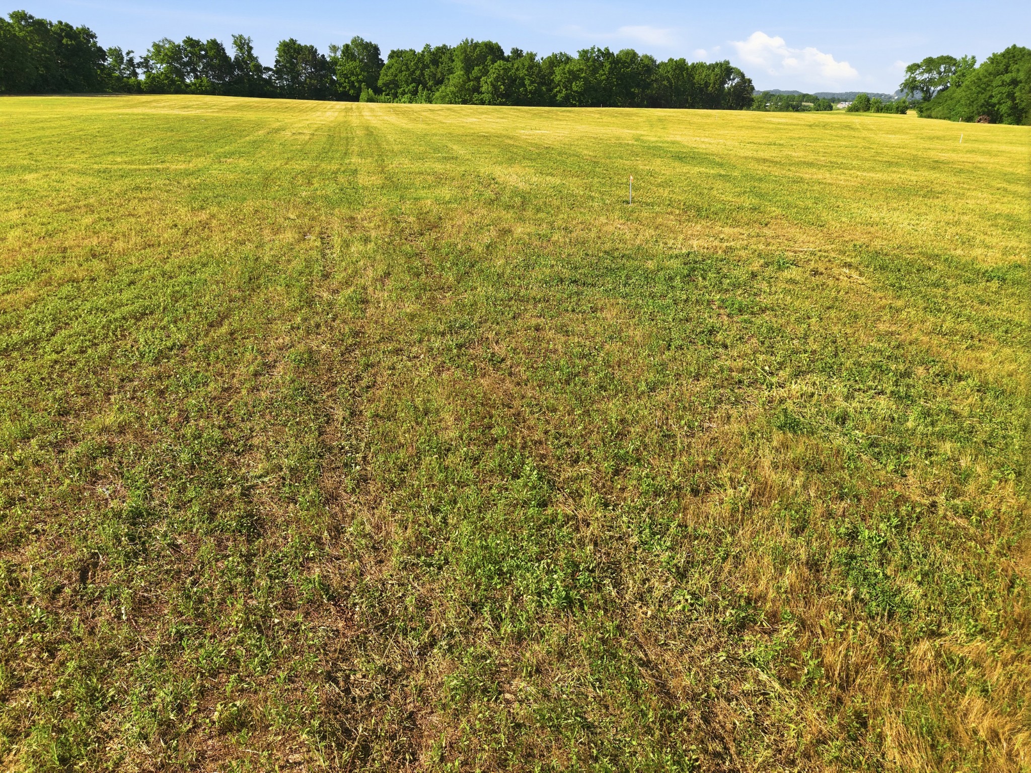 0 Ben Armstrong Rd Lot 7, Castalian Springs, TN 37031