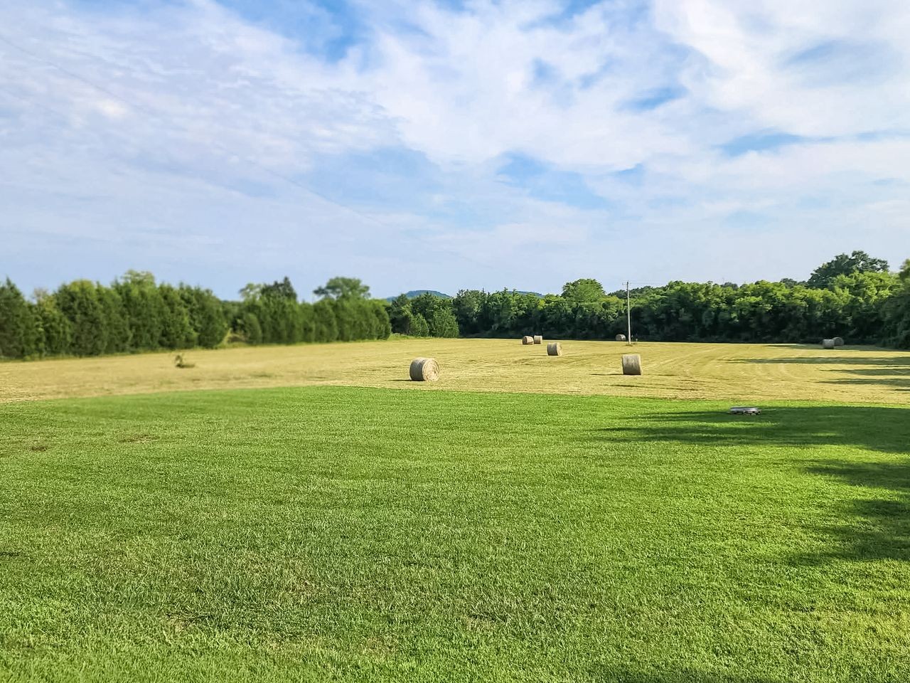 2784 Joe Reeves Rd, Lewisburg, TN 37091