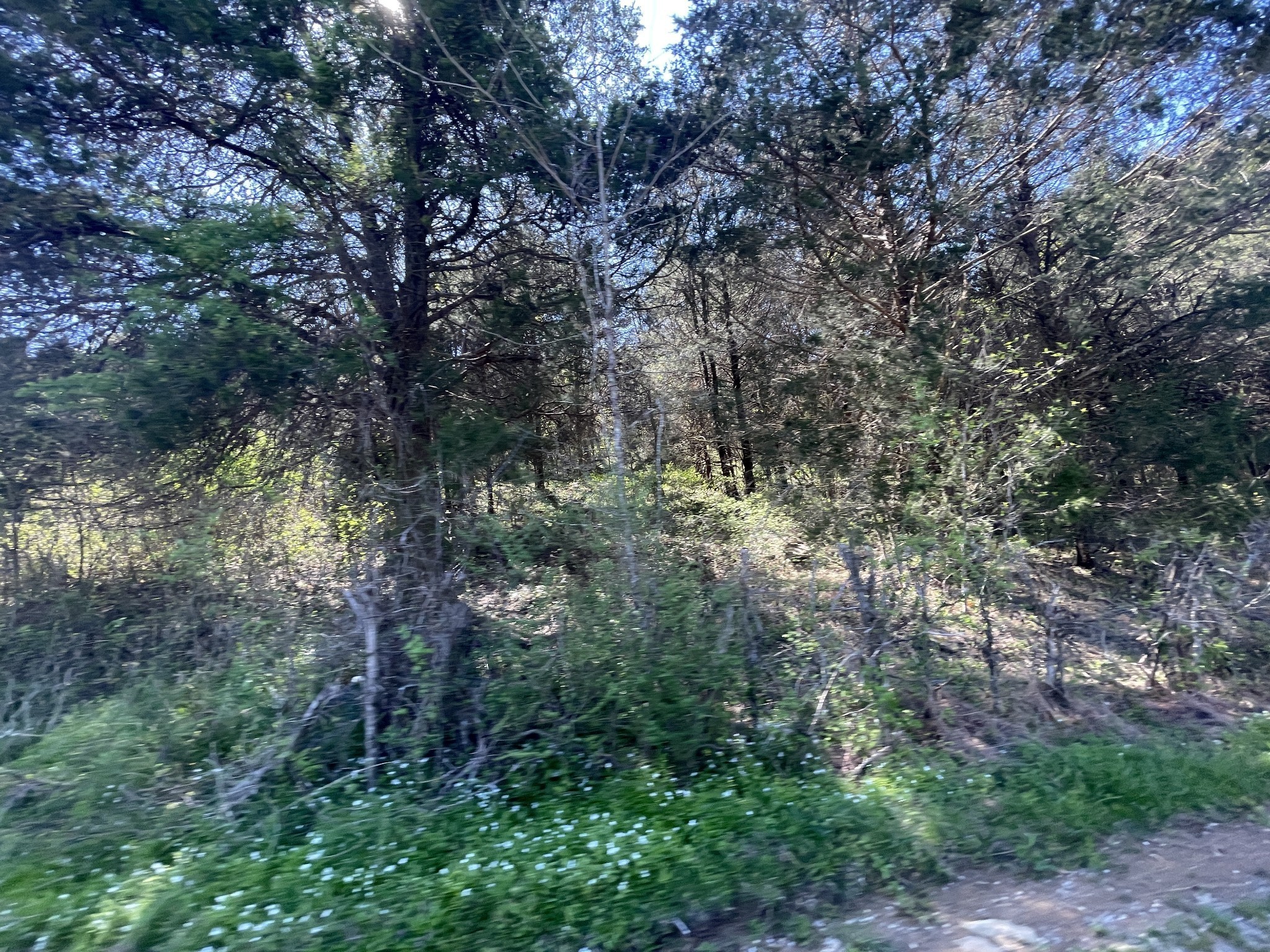 59 Scanty Branch Rd, Dixon Springs, TN 37057