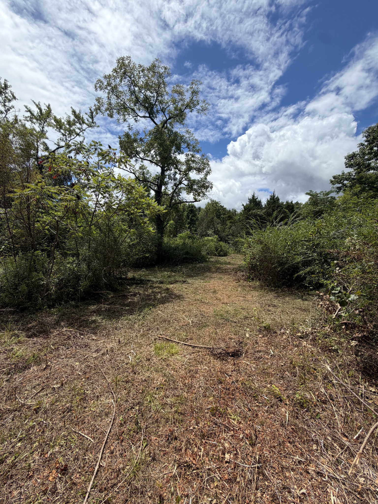 0 Woodbury Pike, Murfreesboro, TN 37127