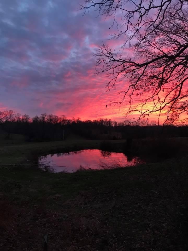 1525 E Piney Rd, Dickson, TN 37055