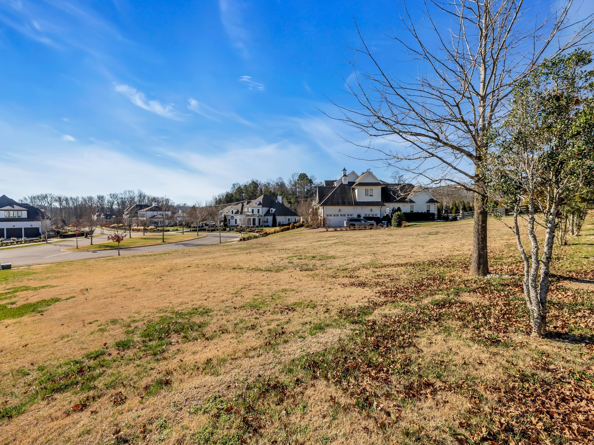 7211 Shagbark Ln, College Grove, TN 37046