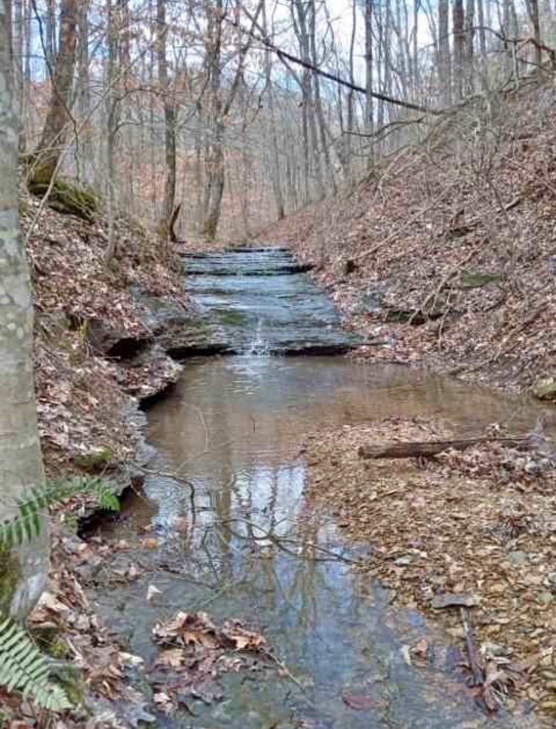 1170 Ella Dr, Ashland City, TN 37015