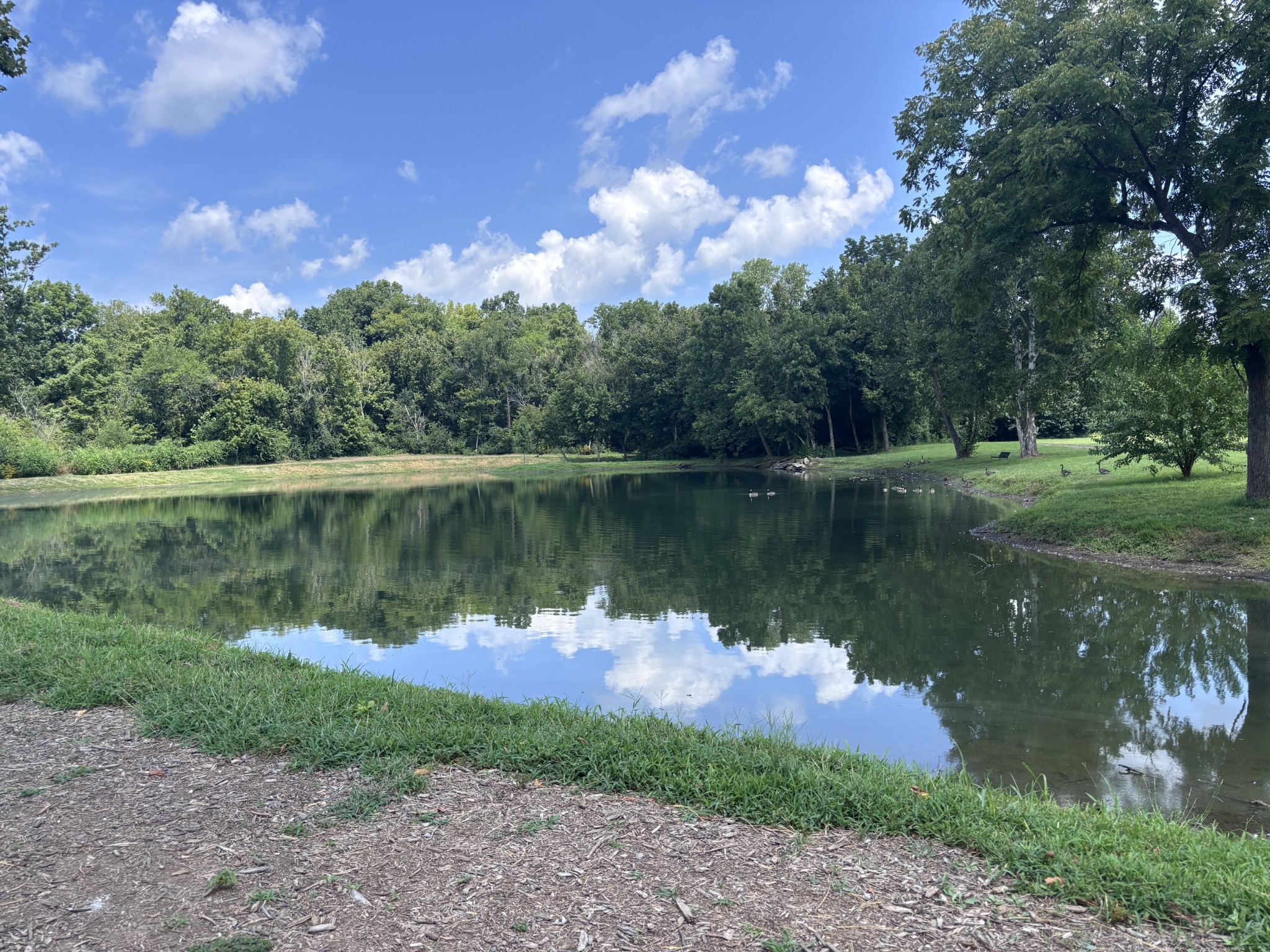 3000 Shandor St, Spring Hill, TN 37174