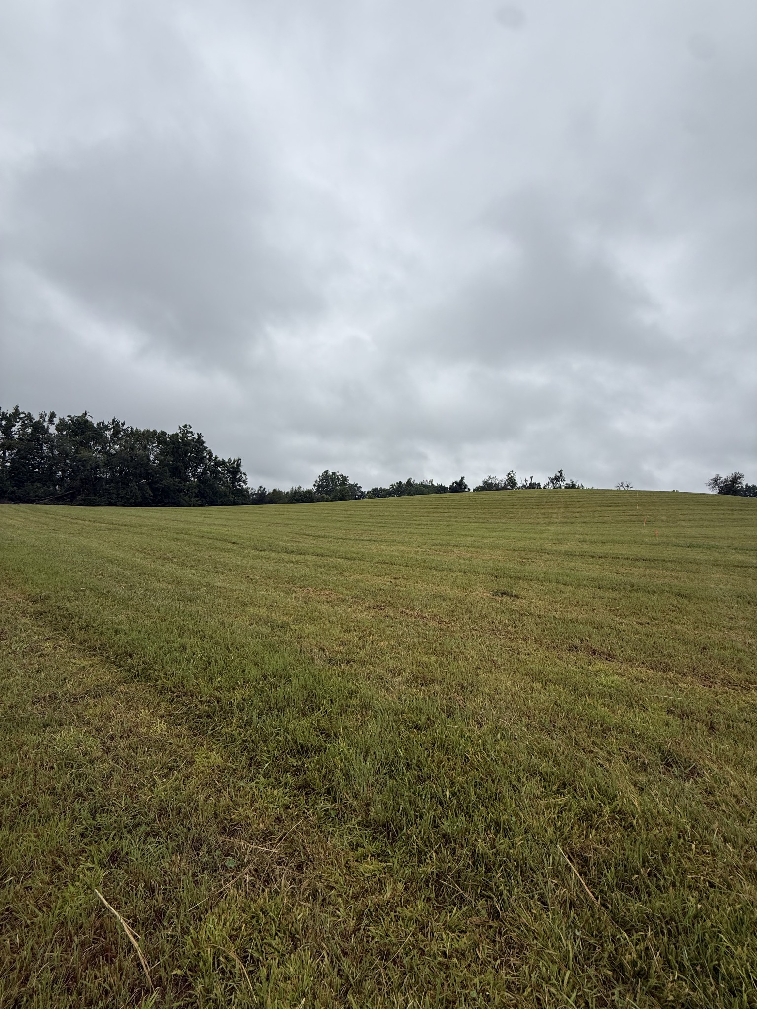 0 Rock Bridge Rd, Bethpage, TN 37022