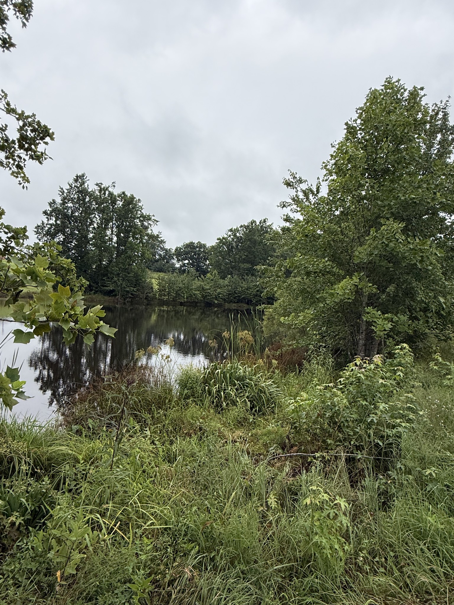 0 Rock Bridge Rd, Bethpage, TN 37022