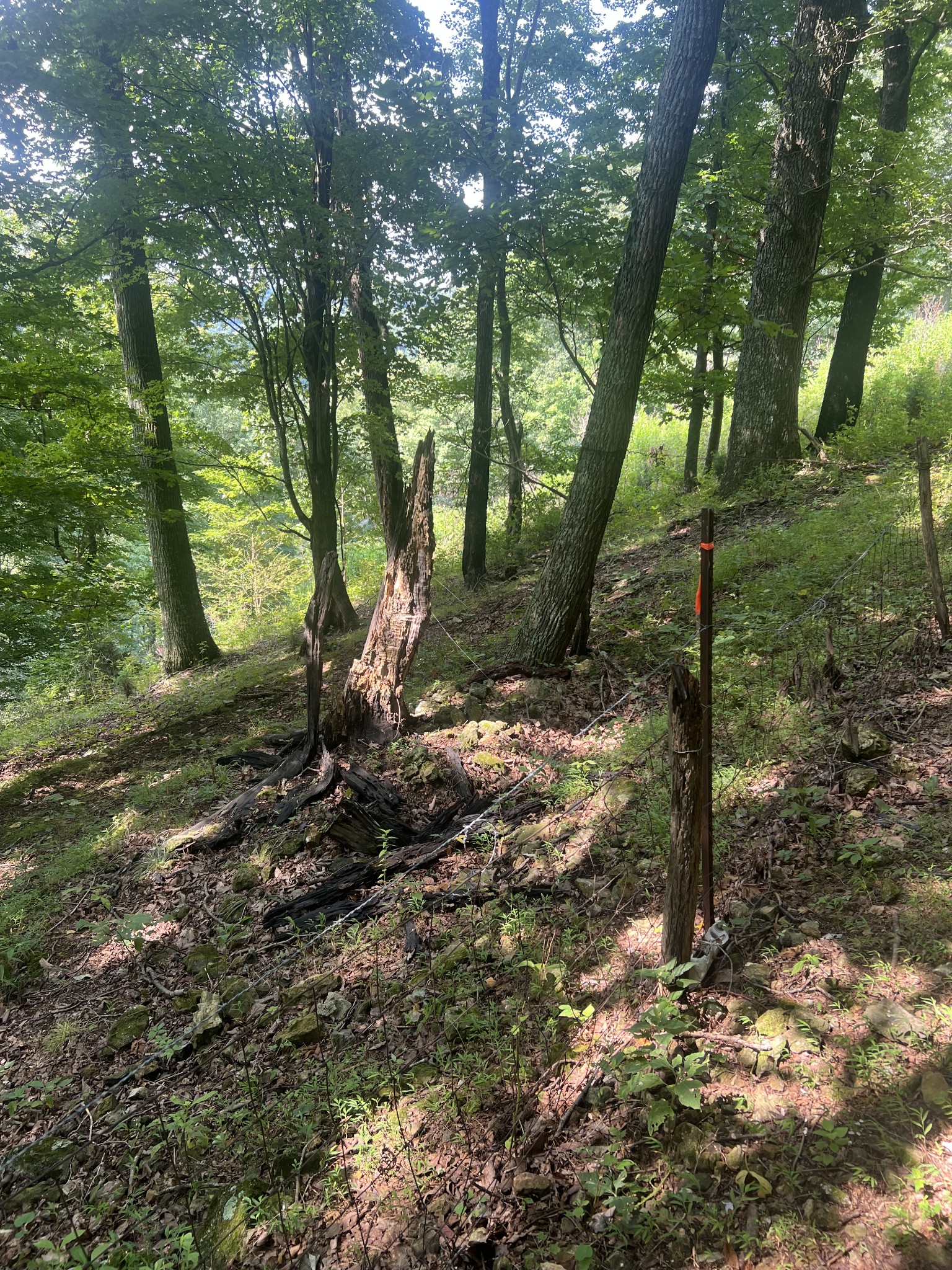 0 Club Springs Rd Off 263 Lot 2, Elmwood, TN 38560