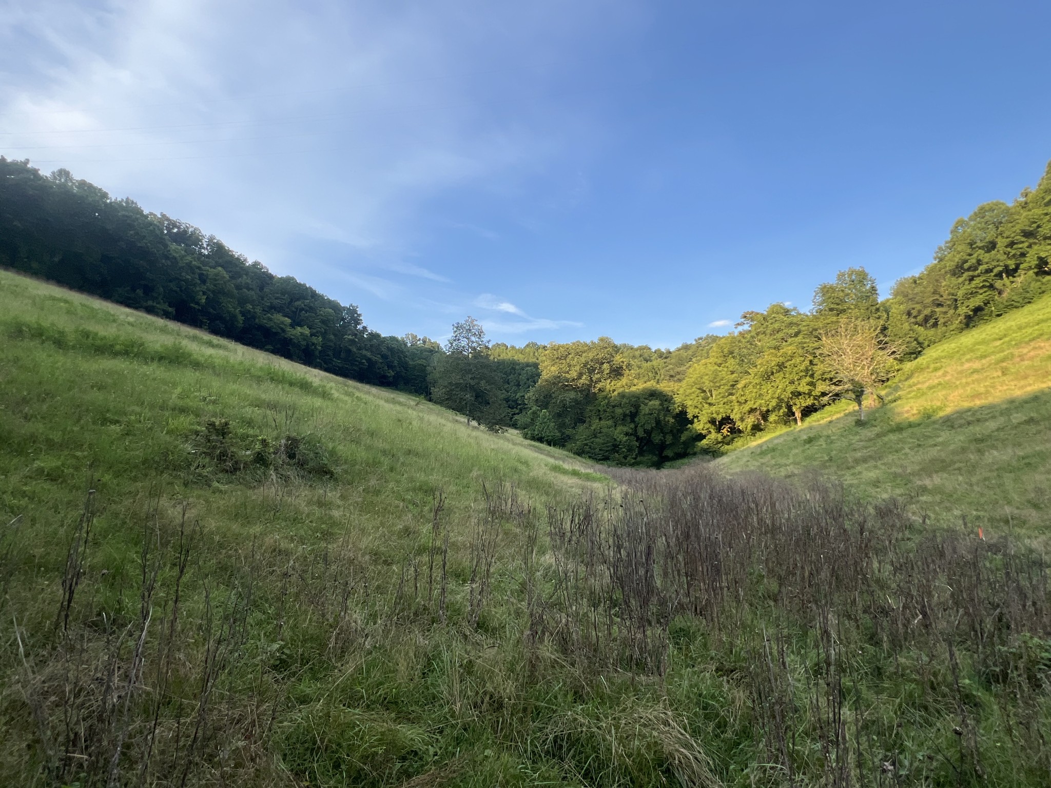 0 Club Springs Rd Off 263 Lot 2, Elmwood, TN 38560