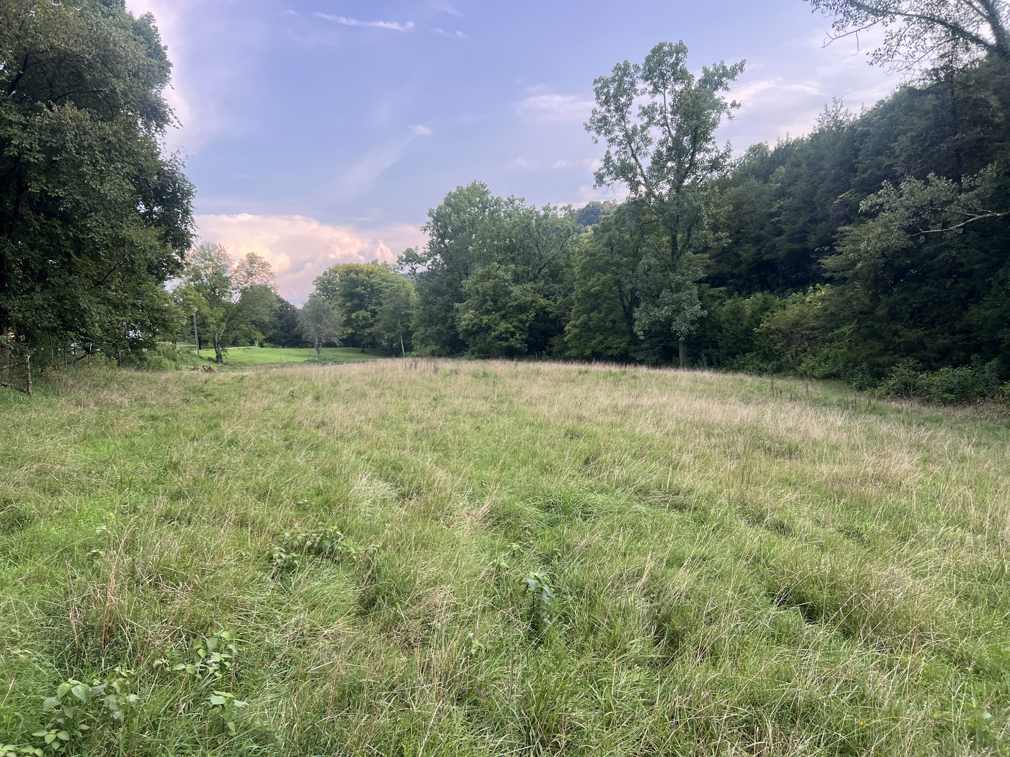 0 Club Springs Rd Off 263 Lot 2, Elmwood, TN 38560