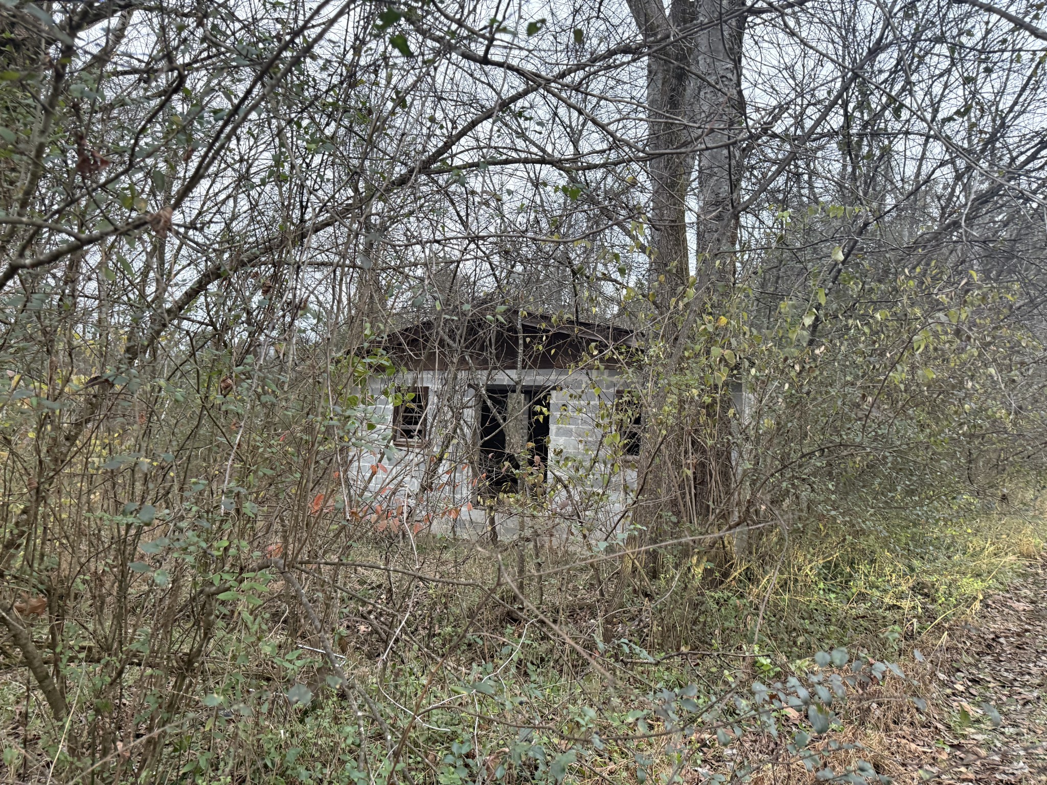 0 Lewis Rd, Santa Fe, TN 38482